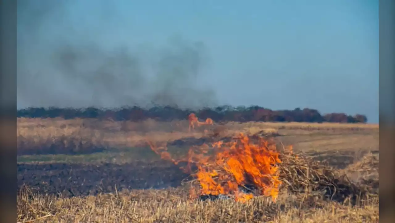 Fire restrictions in effect in some counties outside Calgary