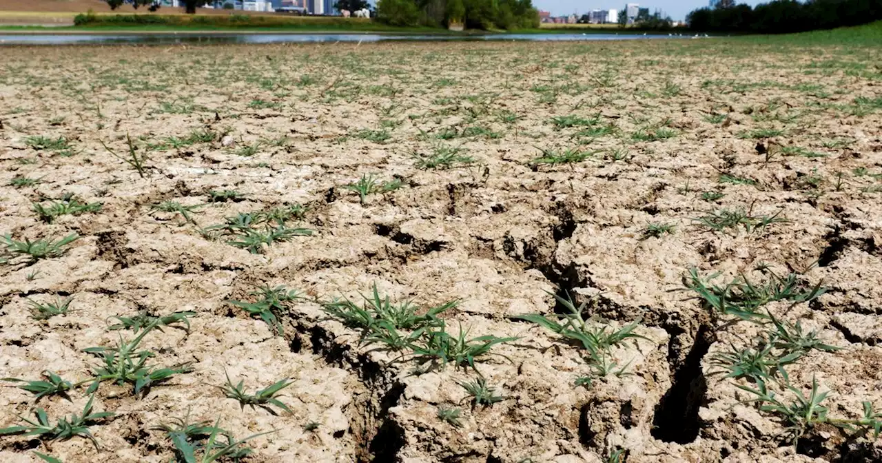 Texas, we have a water problem. We need these smart policies