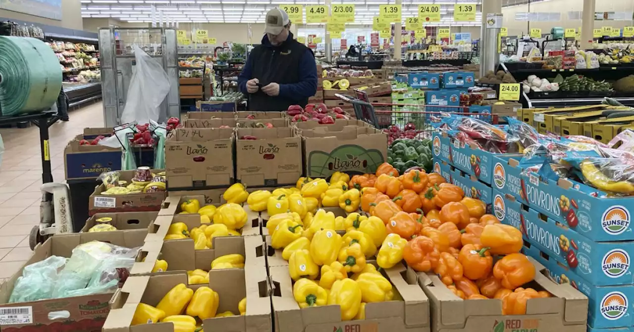 Food Stamps: Maine SNAP Recipients to Receive August Payments in Four Days