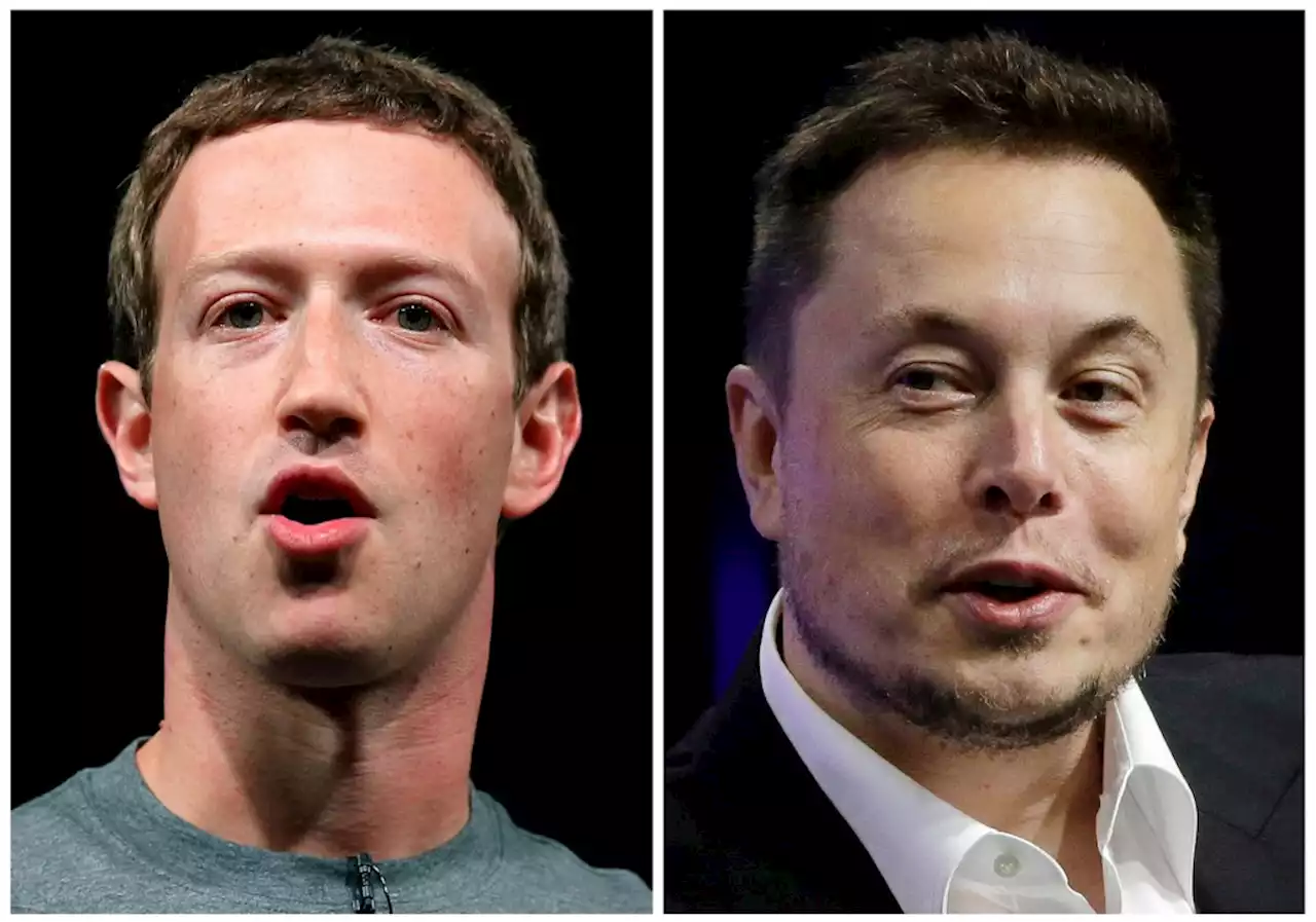 Elon Musk says his cage fight with Mark Zuckerberg will be streamed on X