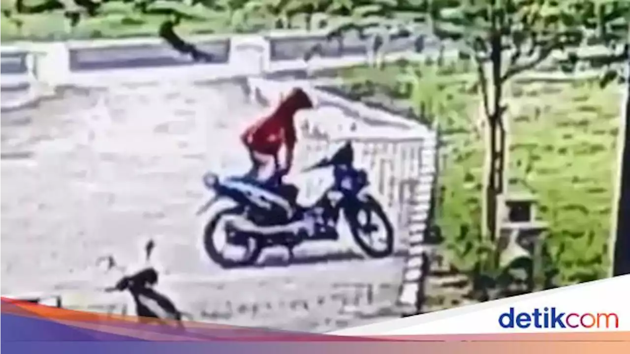 Apes Honorer UHO Kendari Kecolongan Uang Panai Rp 50 Juta di Jok Motor