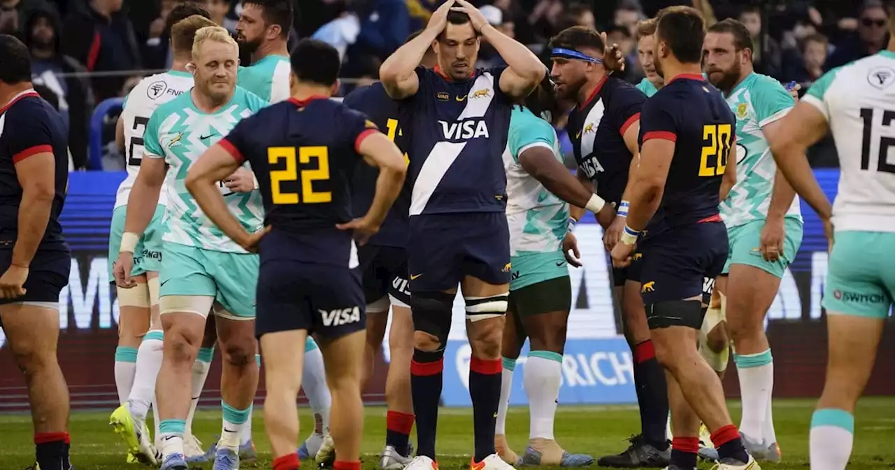 Los Pumas: que el árbol no tape el Mundial