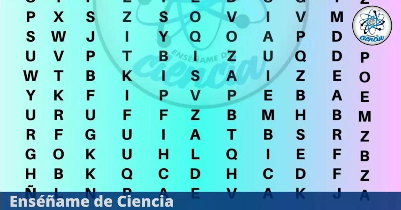 Desafío visual: Encuentra la palabra ALEGRÍA en la sopa de letras; tienes 5 segundos para resolverla