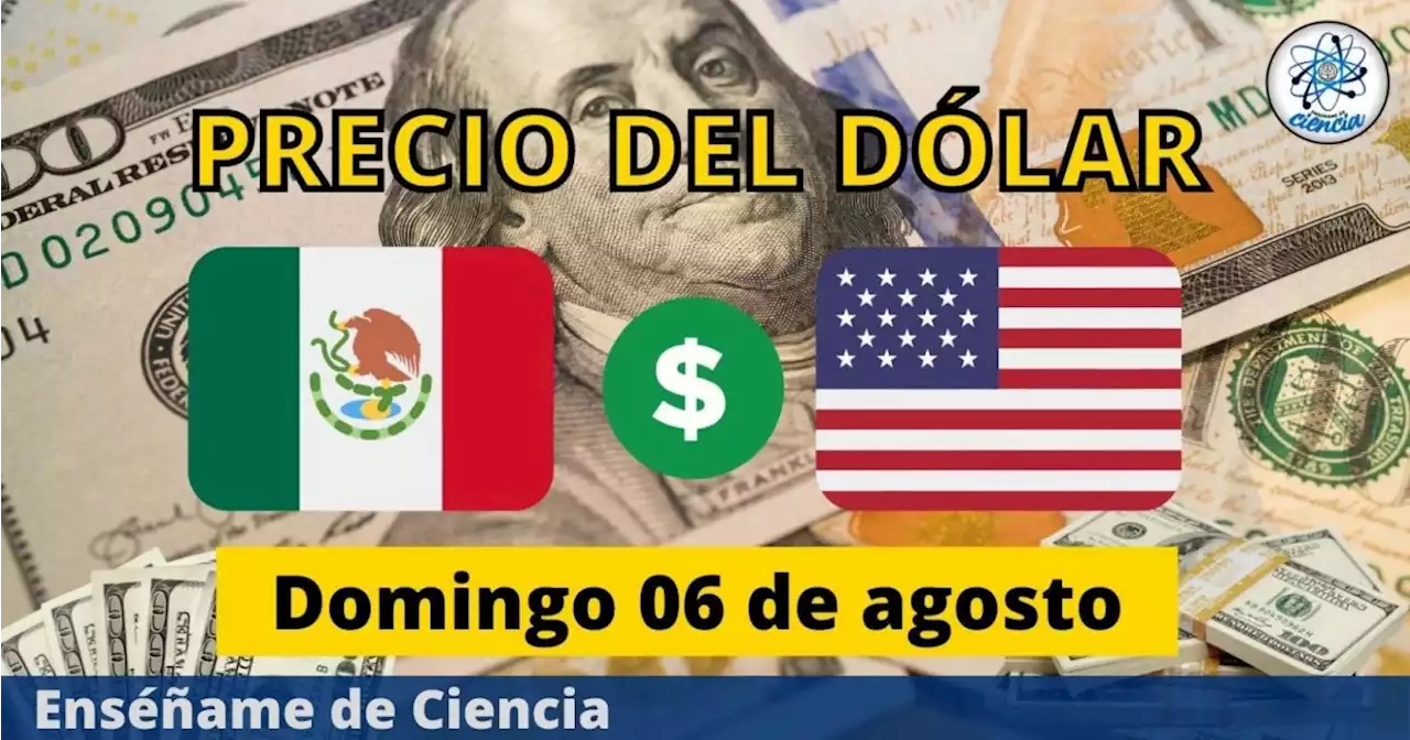 Precio del dólar hoy domingo 06 de agosto, ¿cómo amaneció el tipo de cambio en México?