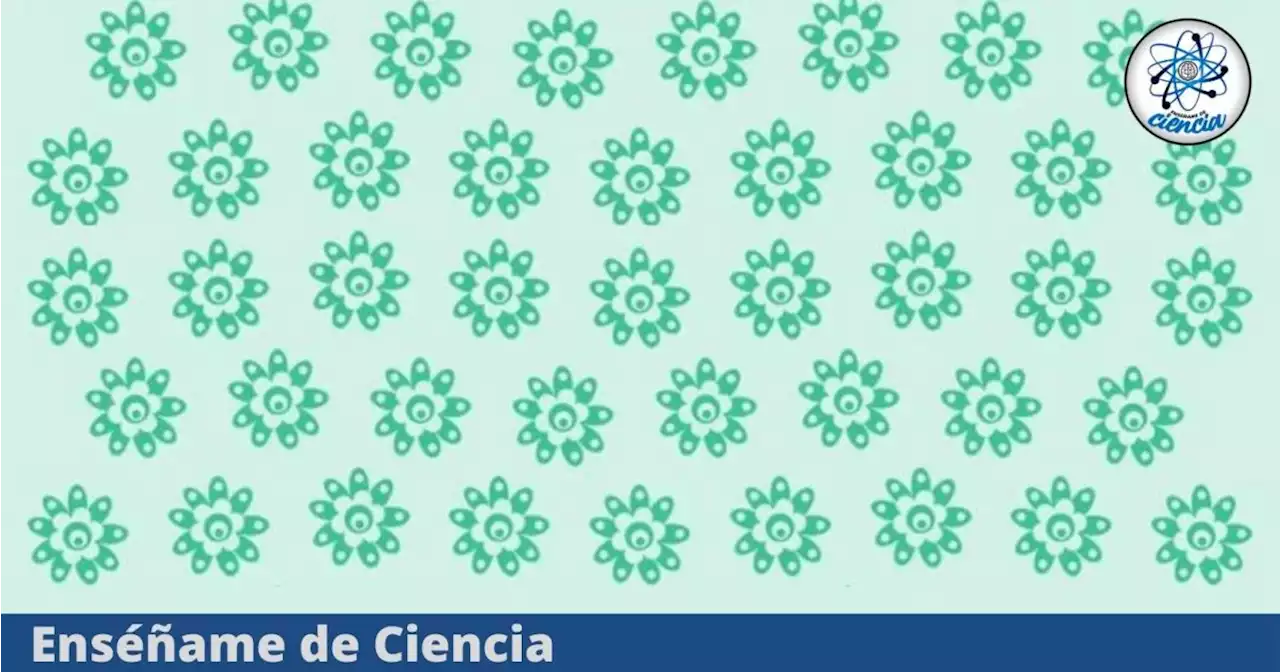 Test visual: Demuestra tu habilidad visual y encuentra la flor diferente de las demás