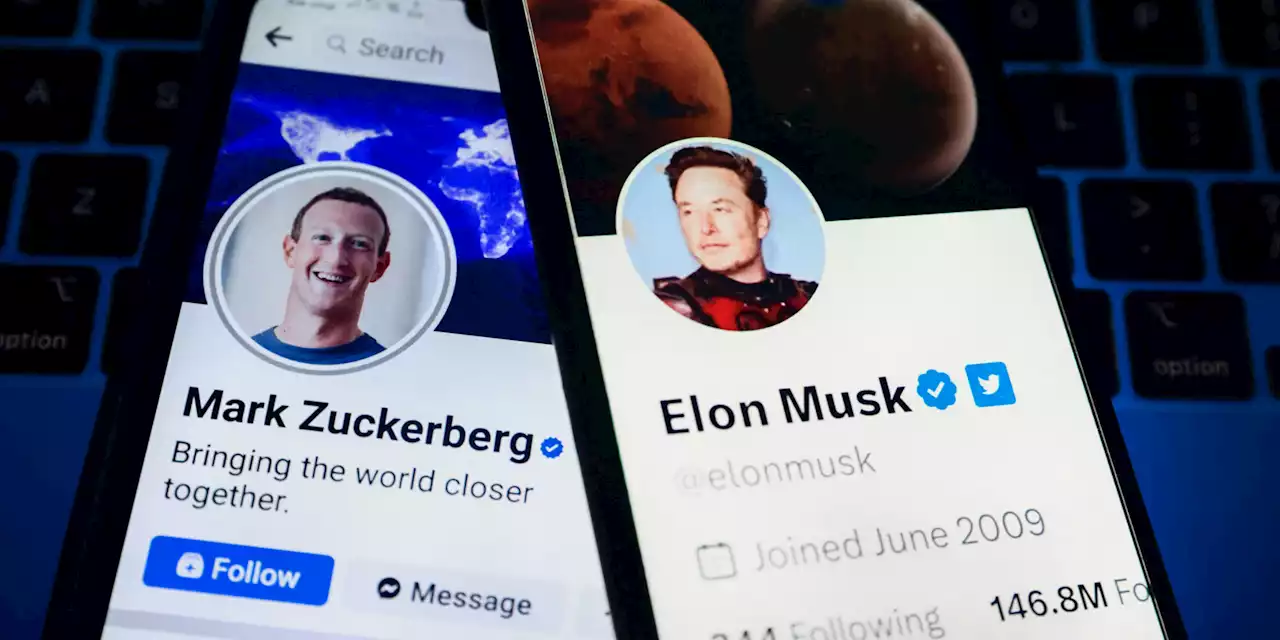 L'éventuel combat entre Elon Musk et Mark Zuckerberg sera retransmis sur X