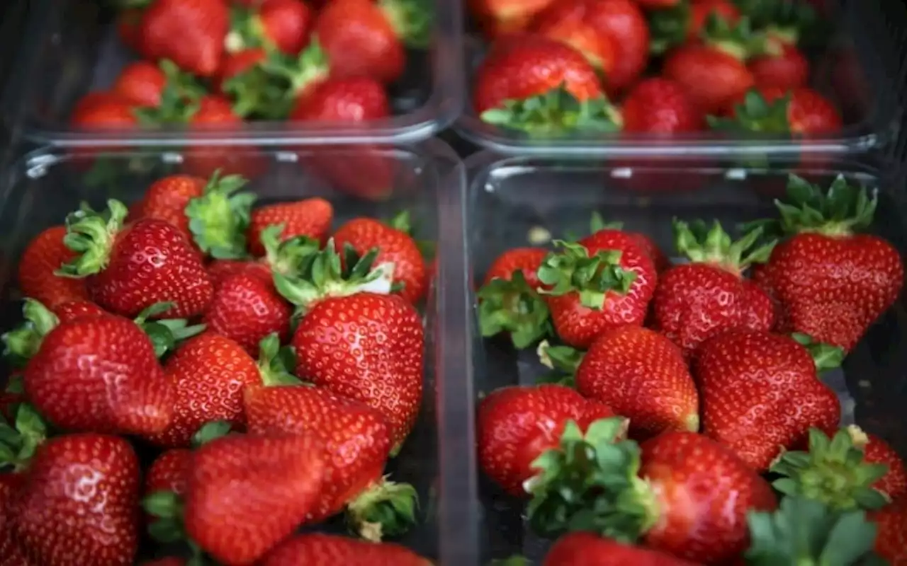 Could regular consumption of strawberries help cognitive function?