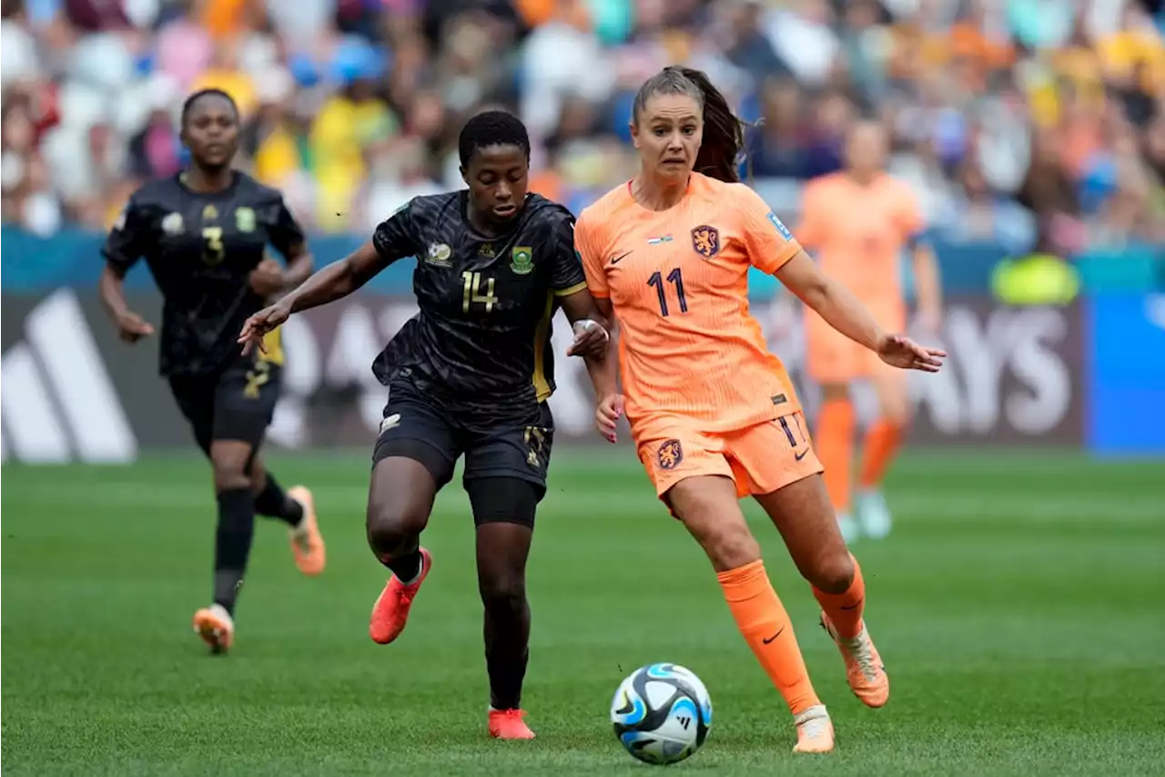 Netherlands tame South Africa to set up Spain World Cup clash