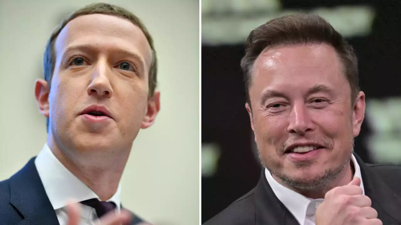 Elon Musk says his cage fight with Mark Zuckerberg will be livestreamed for charity