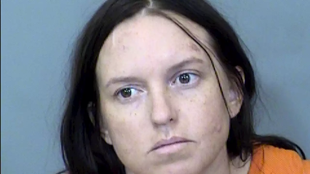 Woman arrested after dog attacked Phoenix officers: PD