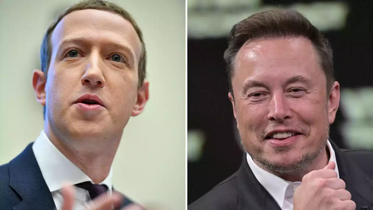 Elon Musk says 'fight' against Mark Zuckerberg with be live-streamed on X