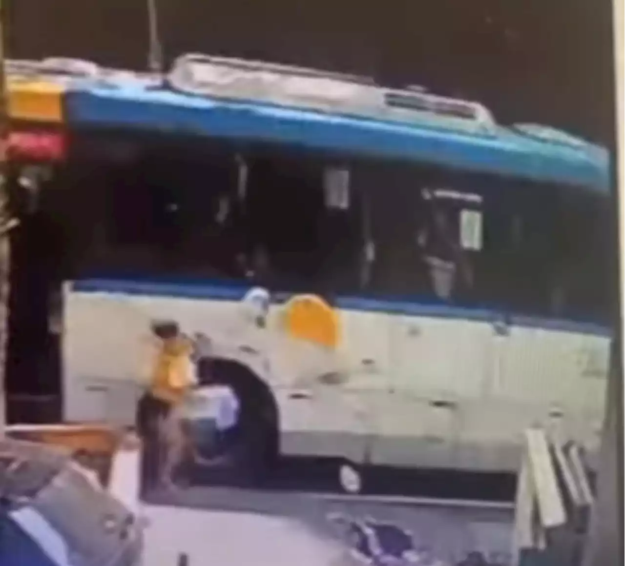 Vídeo mostrando mulher descendo de ônibus para abandonar gatinhos em Jacarepaguá viraliza e causa indignação