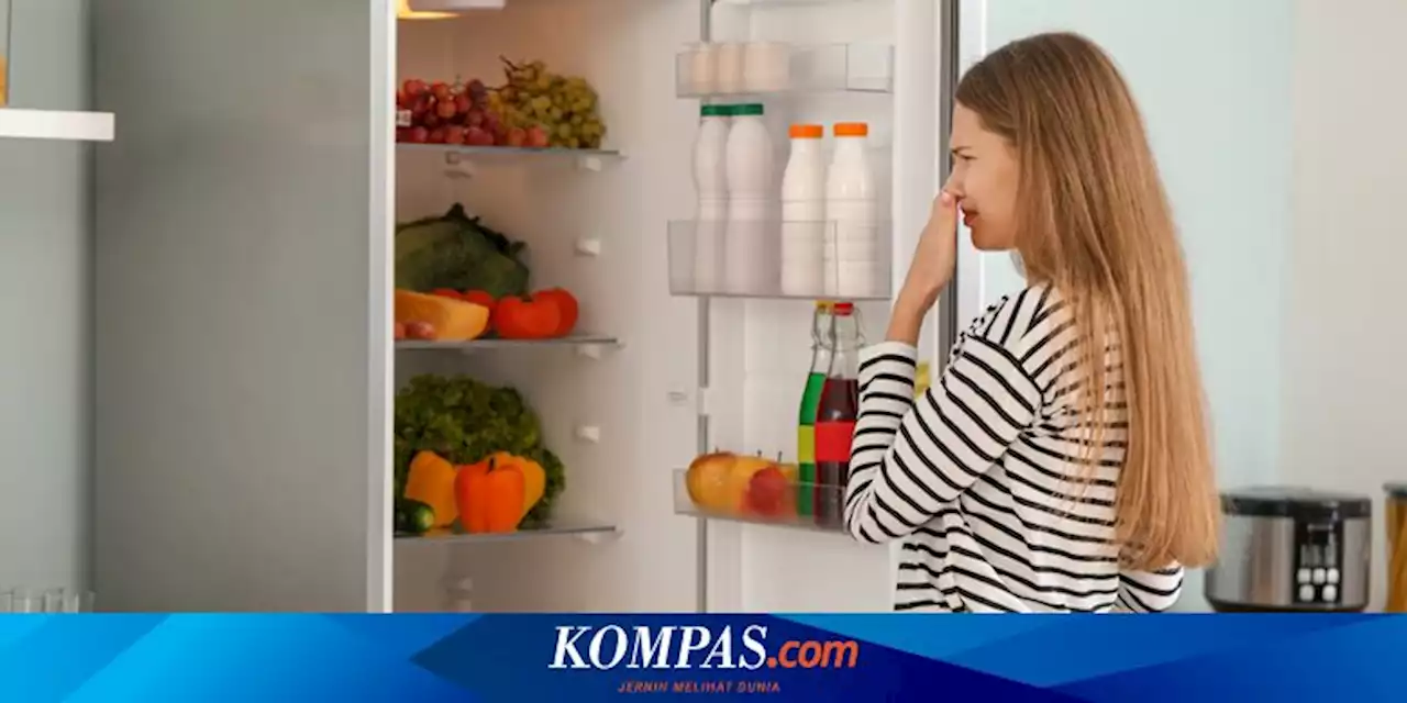 Baking Soda Tidak Ampuh Hilangkan Bau Tak Sedap di Kulkas, Kenapa?