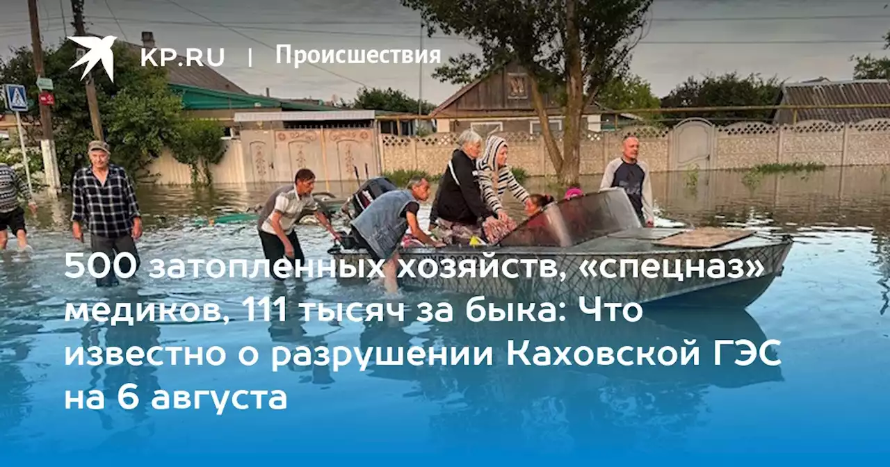 Последние новости о разрушении Каховской ГЭС на 6 августа: что происходит в Херсонской области, главное, видео