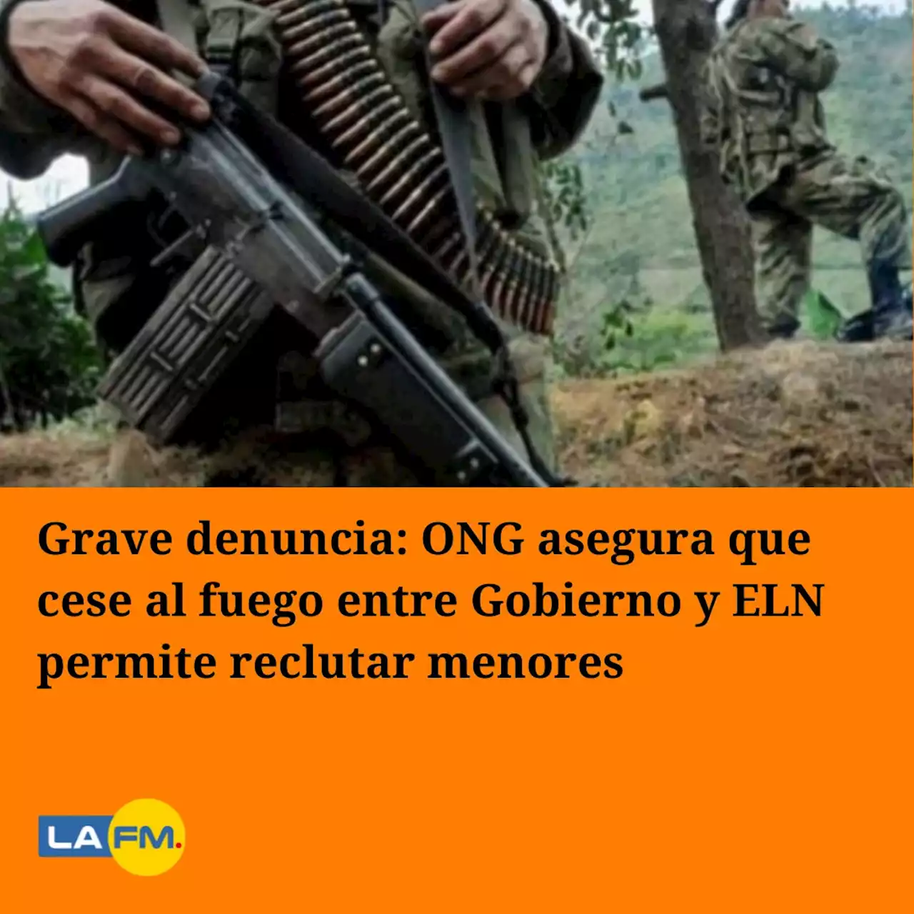 Grave denuncia: ONG asegura que cese al fuego entre Gobierno y ELN permite reclutar menores