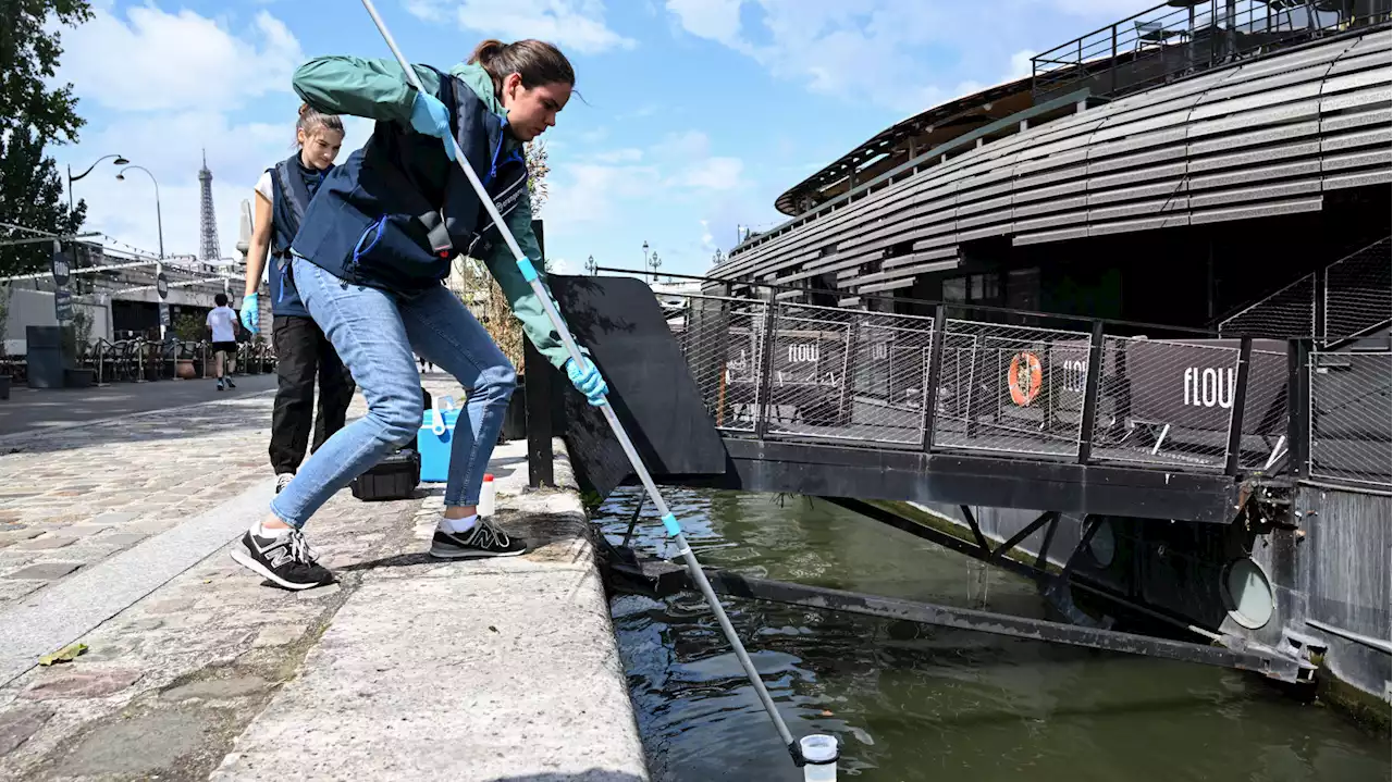 À un an des JO, trois annulations en trois jours pour l’épreuve test de natation dans la Seine