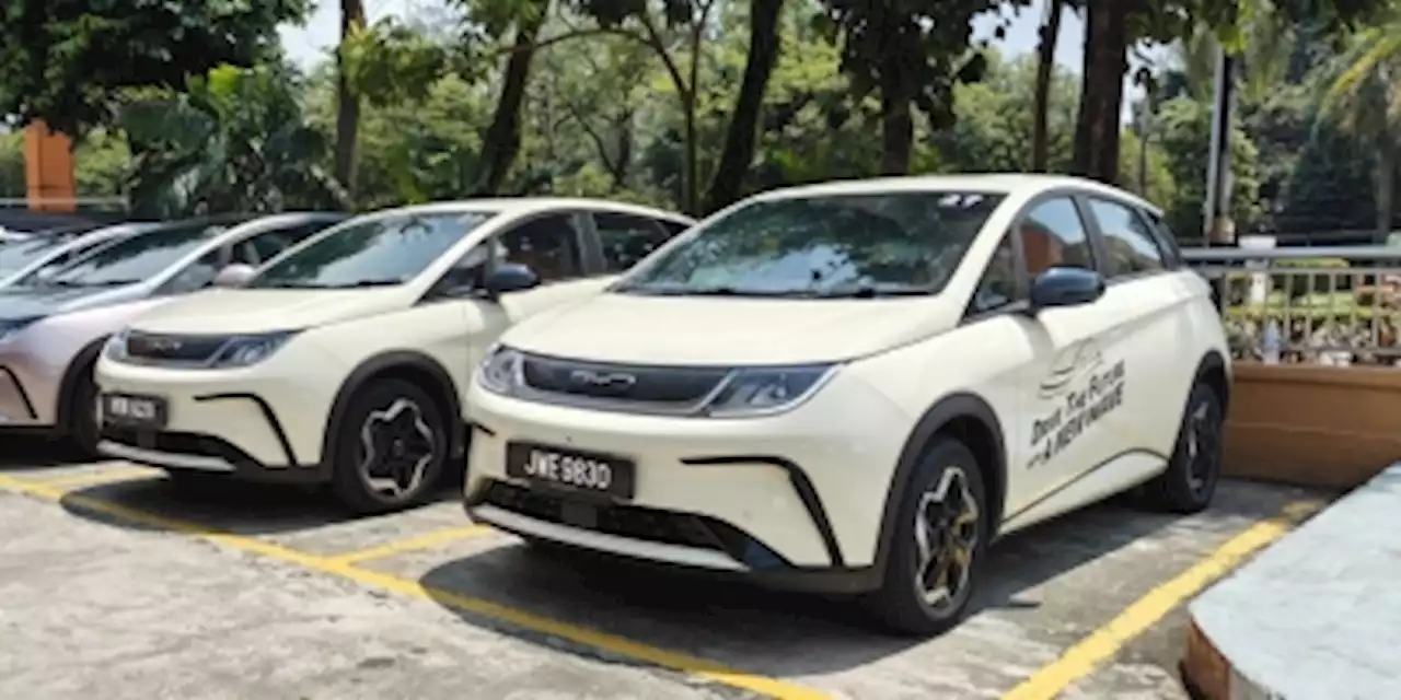 BYD Dolphin Dynamic Standard first drive: This RM100,000 EV ticks all the right boxes (VIDEO)