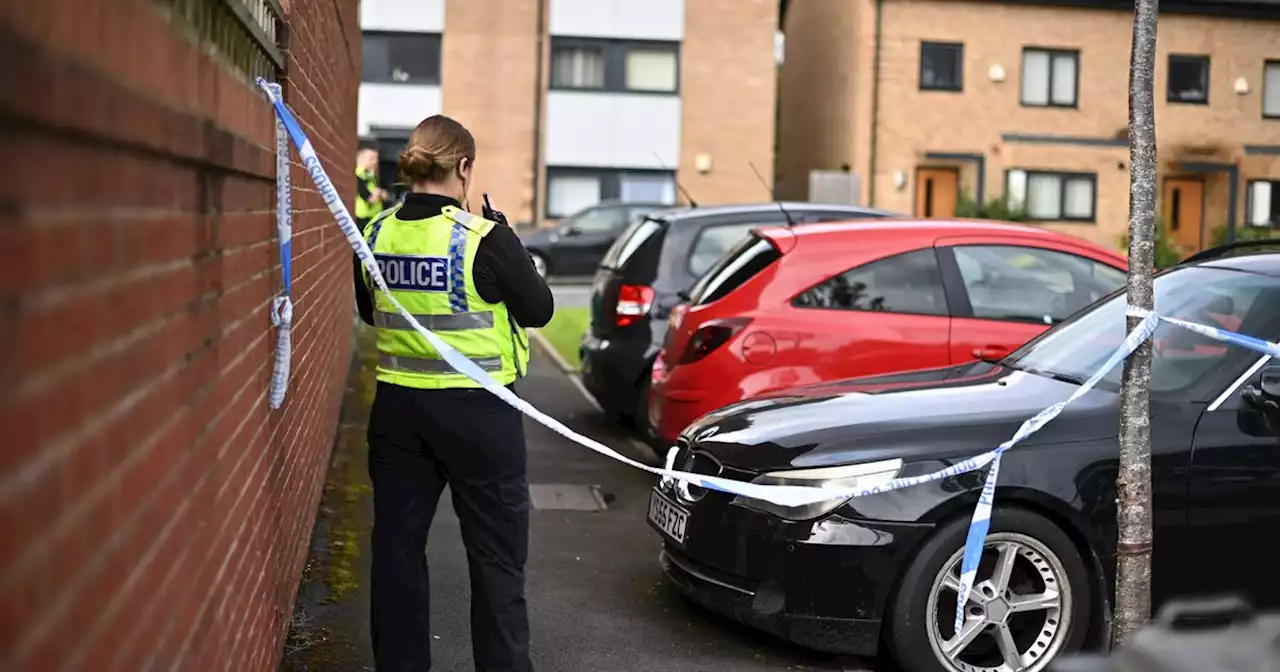 Man, 38, arrested on suspicion of gun crime after 3am 'disturbance' on street