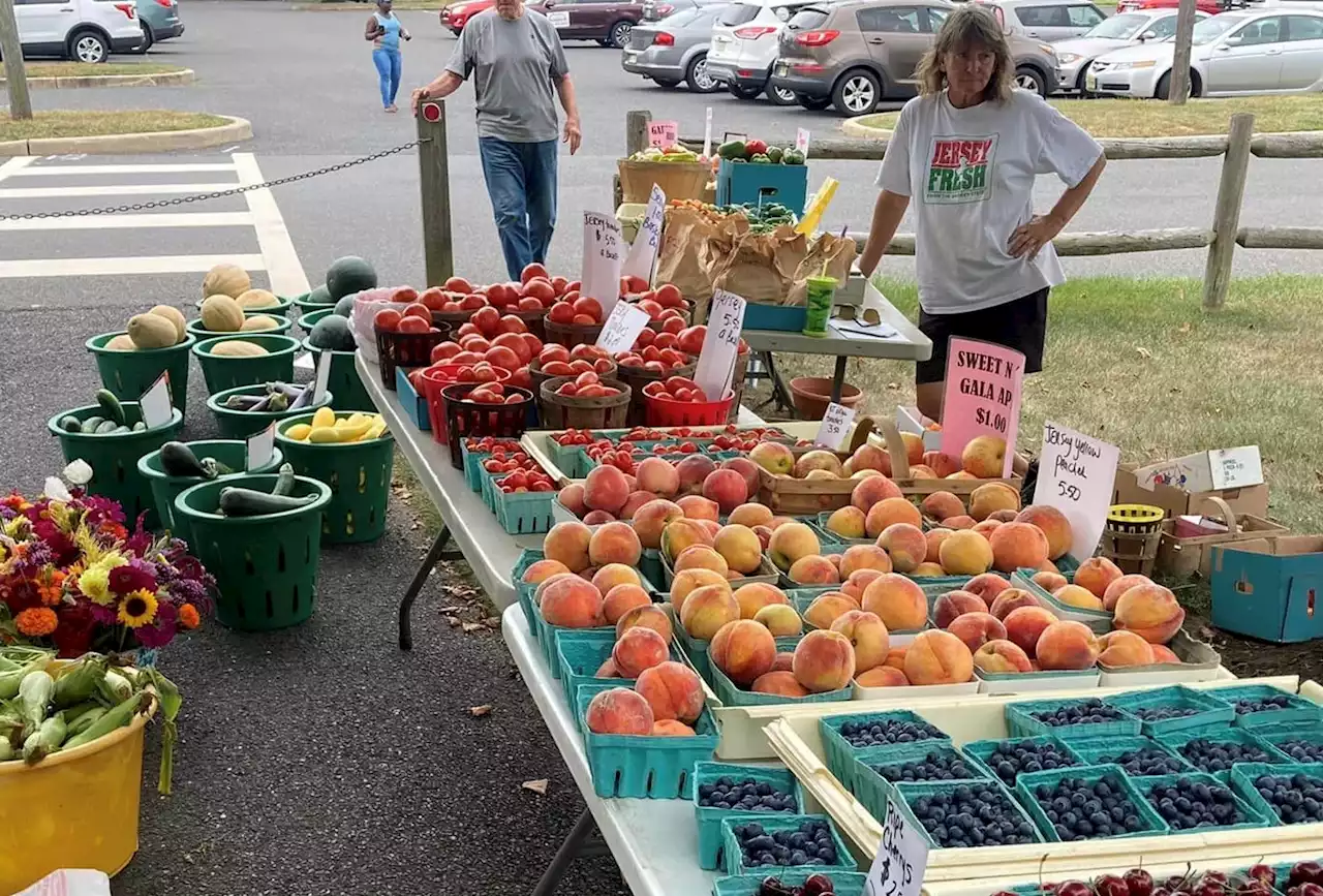 Seniors can get $50 vouchers to the Burlington County Farmers Market