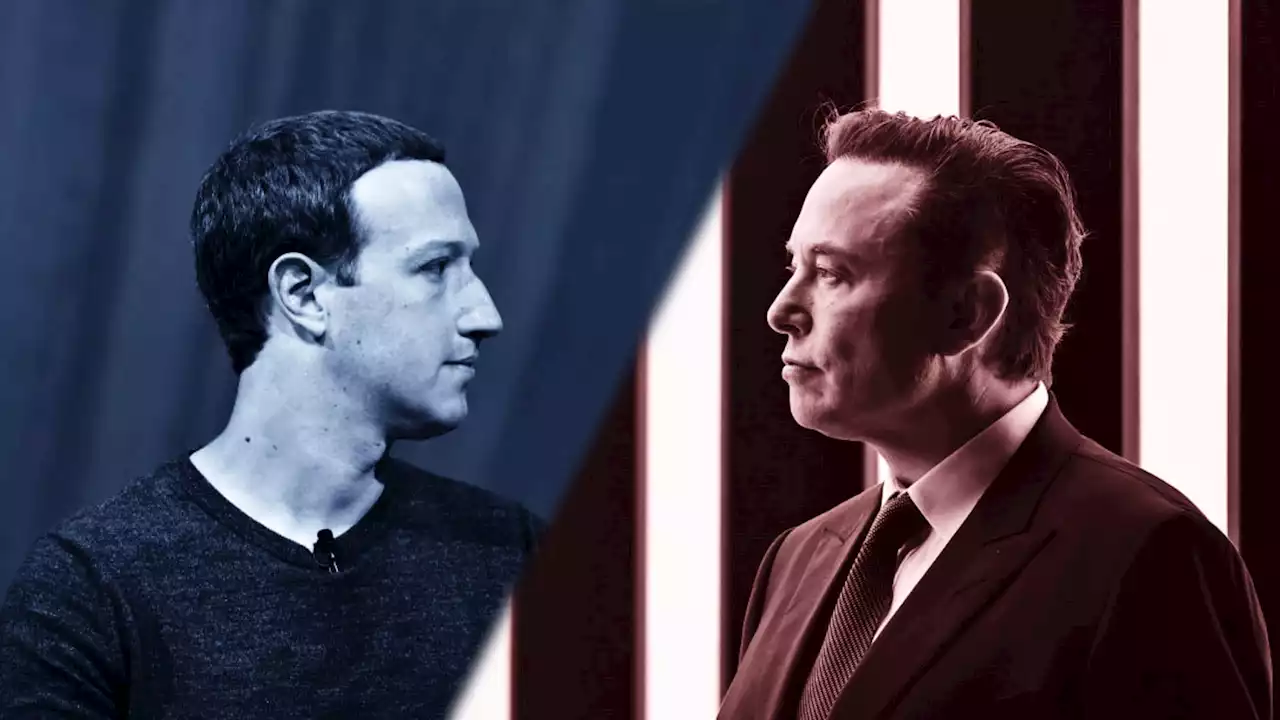 Musk says his cage fight with Zuckerberg will be streamed on X