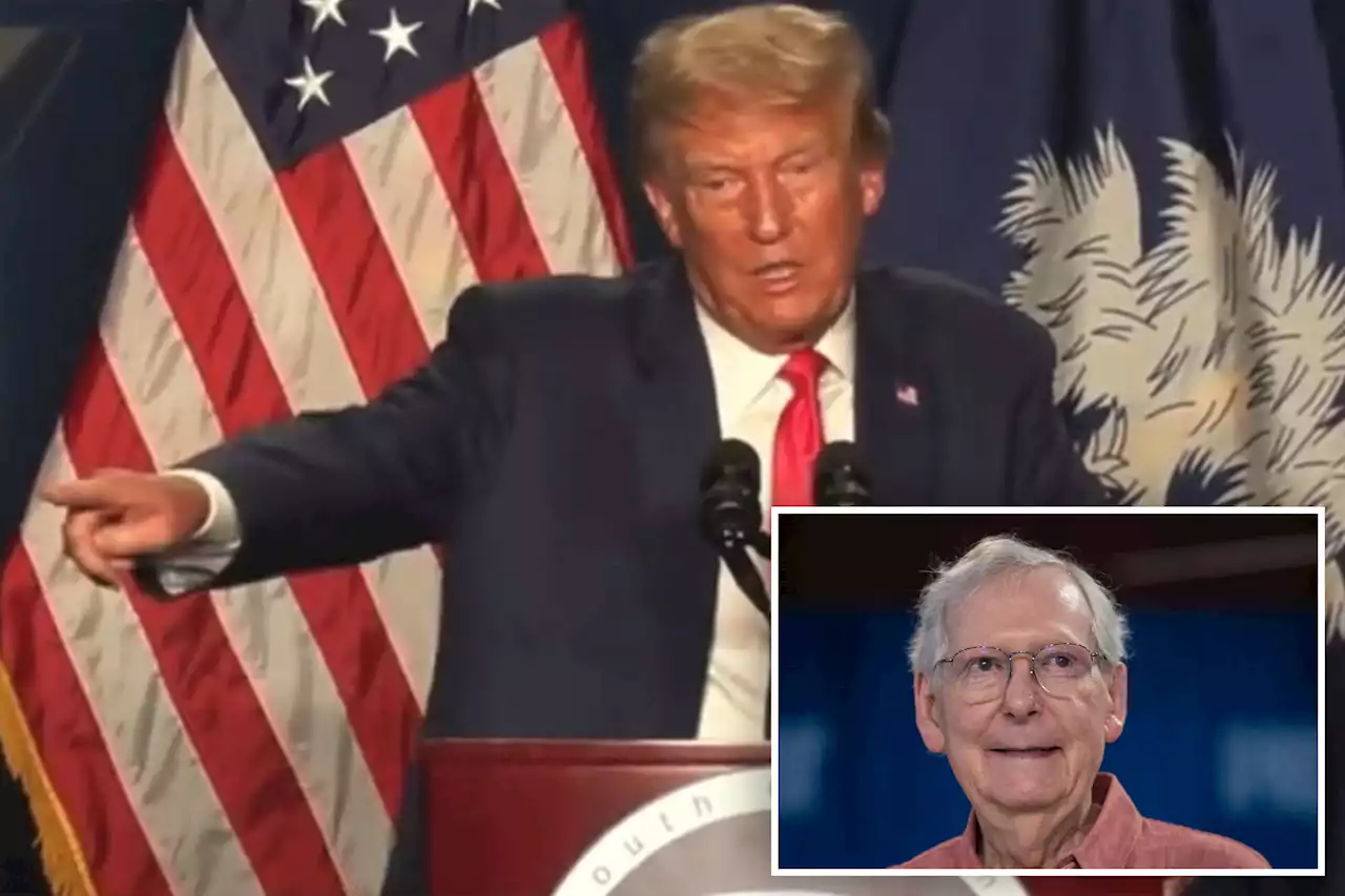 Donald Trump says Dems ‘have something’ on old foe Mitch McConnell