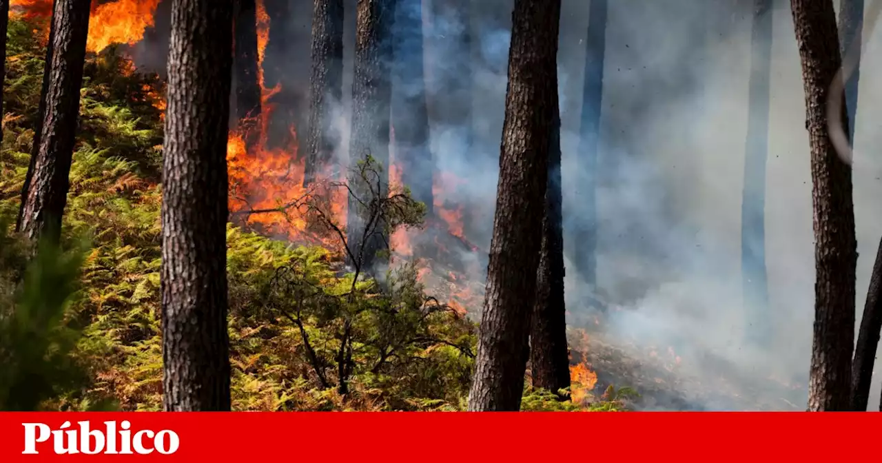 Incêndios: quatro localidades evacuadas devido a fogo em Odemira