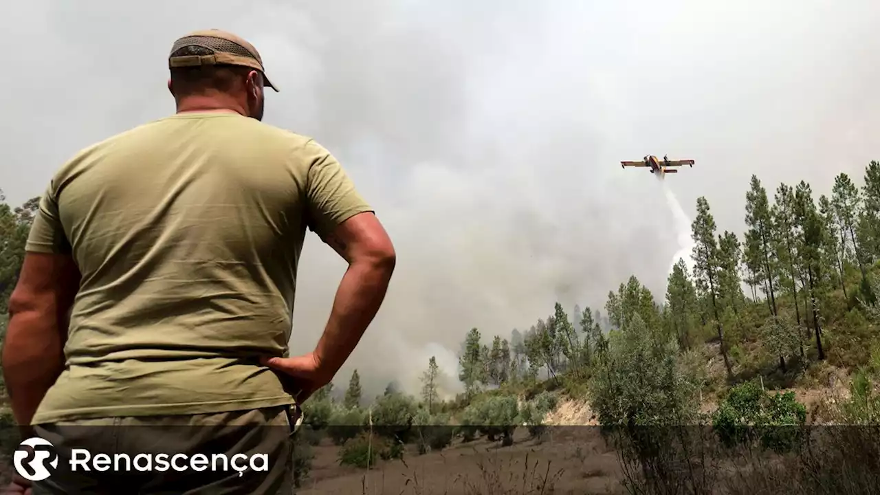 Combate às chamas com evolução favorável em Castelo Branco e Odemira - Renascença