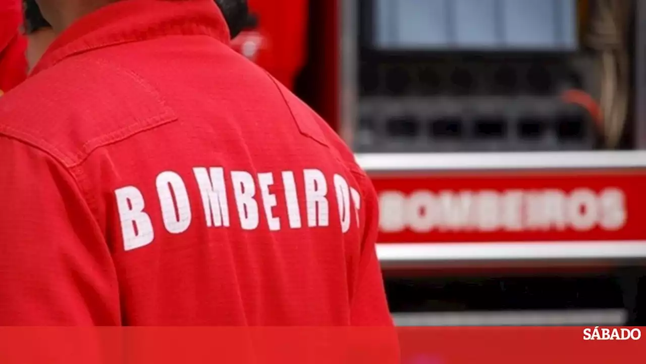 Bombeiros dominam uma das três frentes do fogo em Odemira