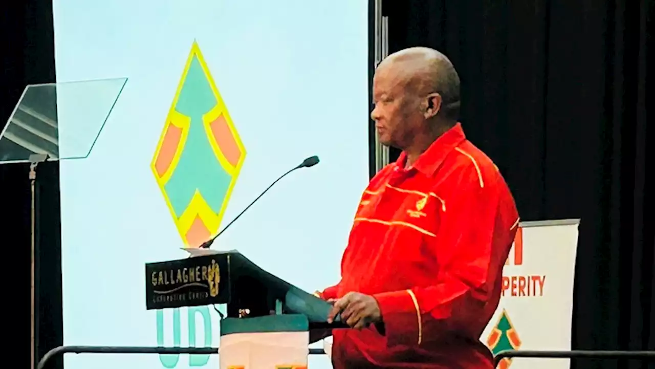 Holomisa accuses ANC, DA of using smaller parties to control state funds - SABC News