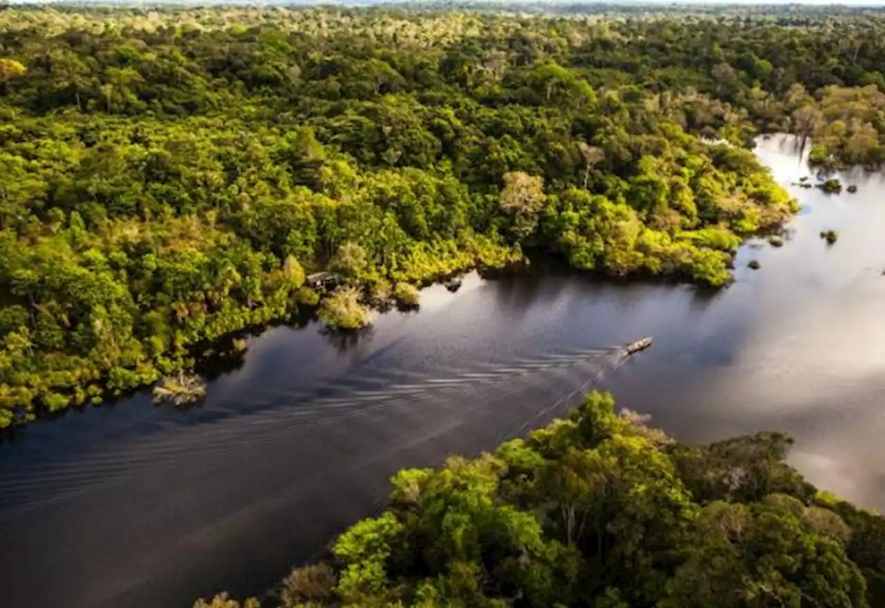 Confronto ambiental: exploração em Foz do Amazonas ameaça pesca e indígenas - SBT News