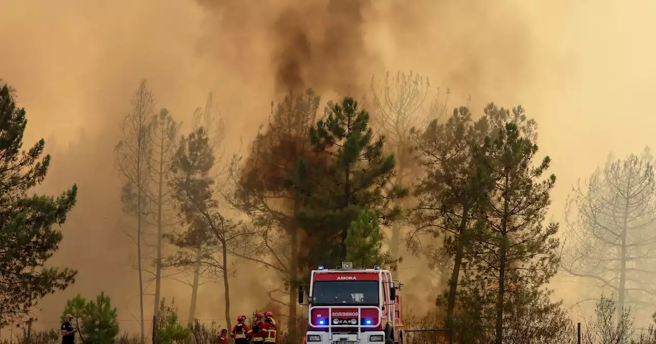 Incêndios em Castelo Branco e Odemira ainda preocupam Proteção Civil