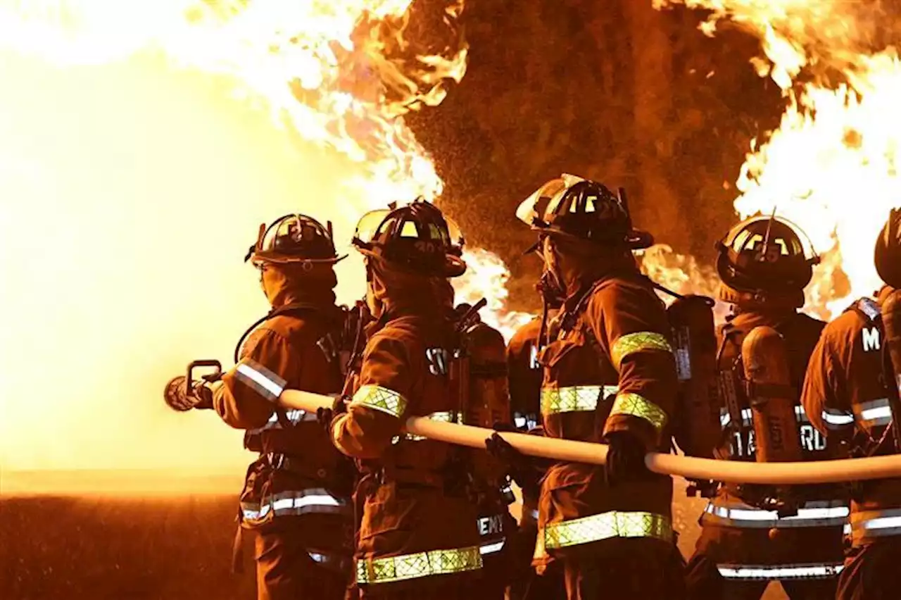 Dominada uma das três frentes do incêndio em Odemira