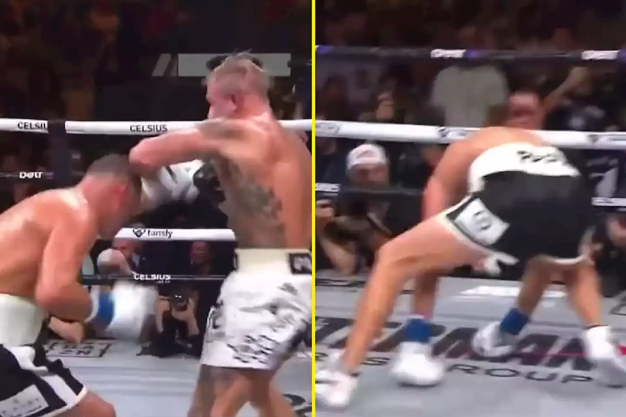 Jake Paul knocks down Nate Diaz and beats him, then offers $10million MMA rematch