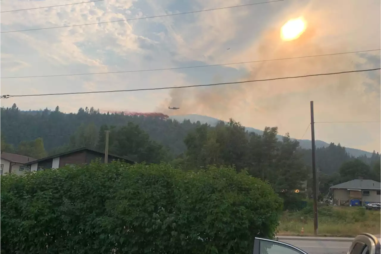 Crews responding to wildfire near Castlegar - Terrace Standard