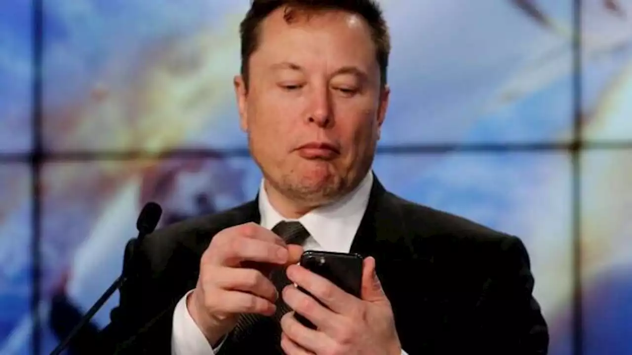 Elon Musk to fund legal bills of X users 'treated unfairly' by bosses over tweets