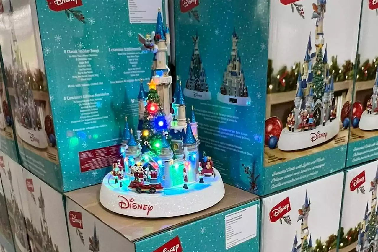 Shoppers sprint to Costco desperate to nab the new-in Disney Christmas buys