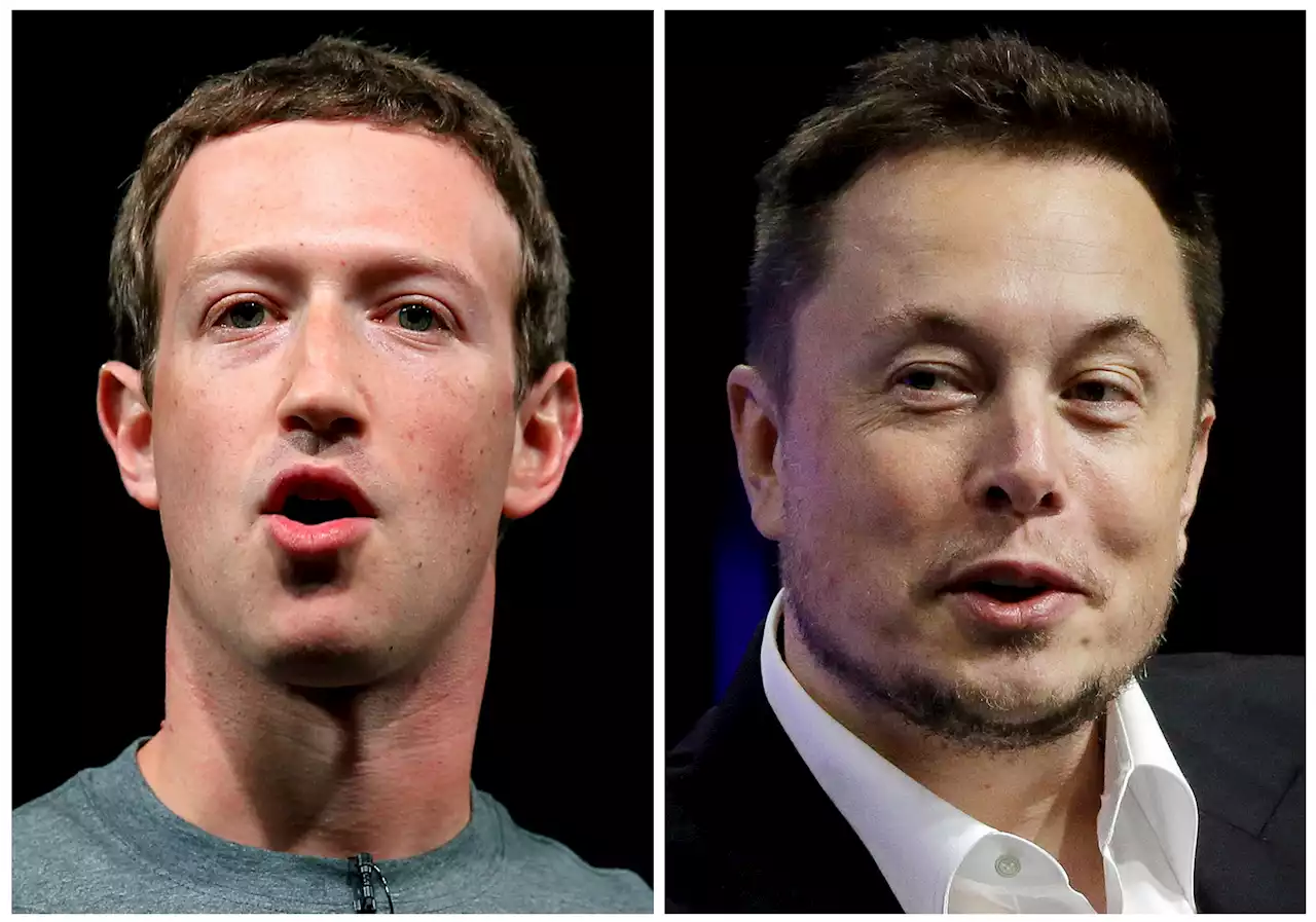 Musk Says Cage Fight With Zuckerberg Will Be Streamed on X