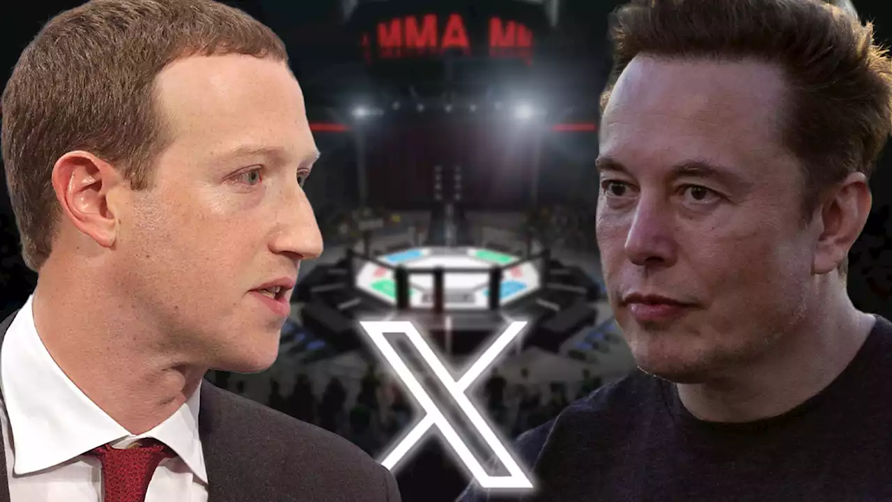 Elon Musk Wants to Live-Stream Mark Zuckerberg UFC Fight on X