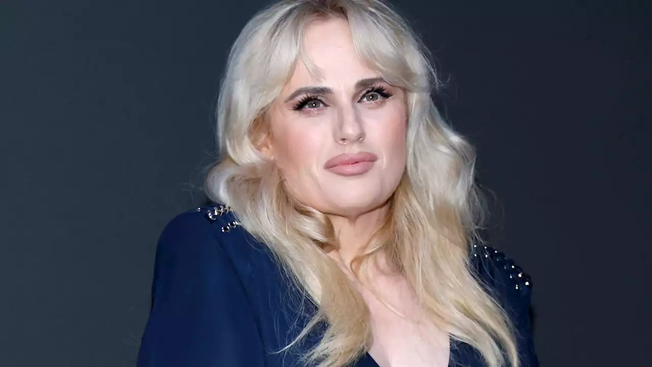 Rebel Wilson Needs Stitches After 'Stunt Accident' Wrapping Filming on Bride Hard