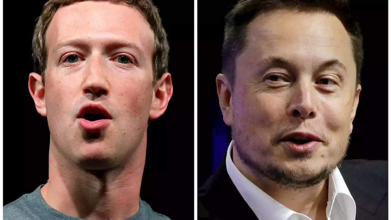 Cage fight with Zuckerberg will be live-streamed on X: Musk