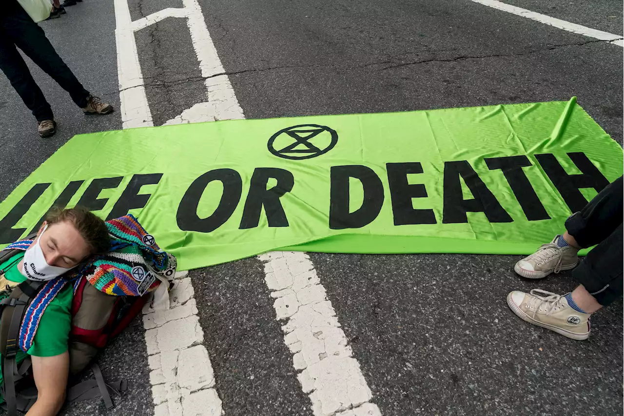 Confronting the Climate Crisis Requires Disruptive Action and Radical Healing