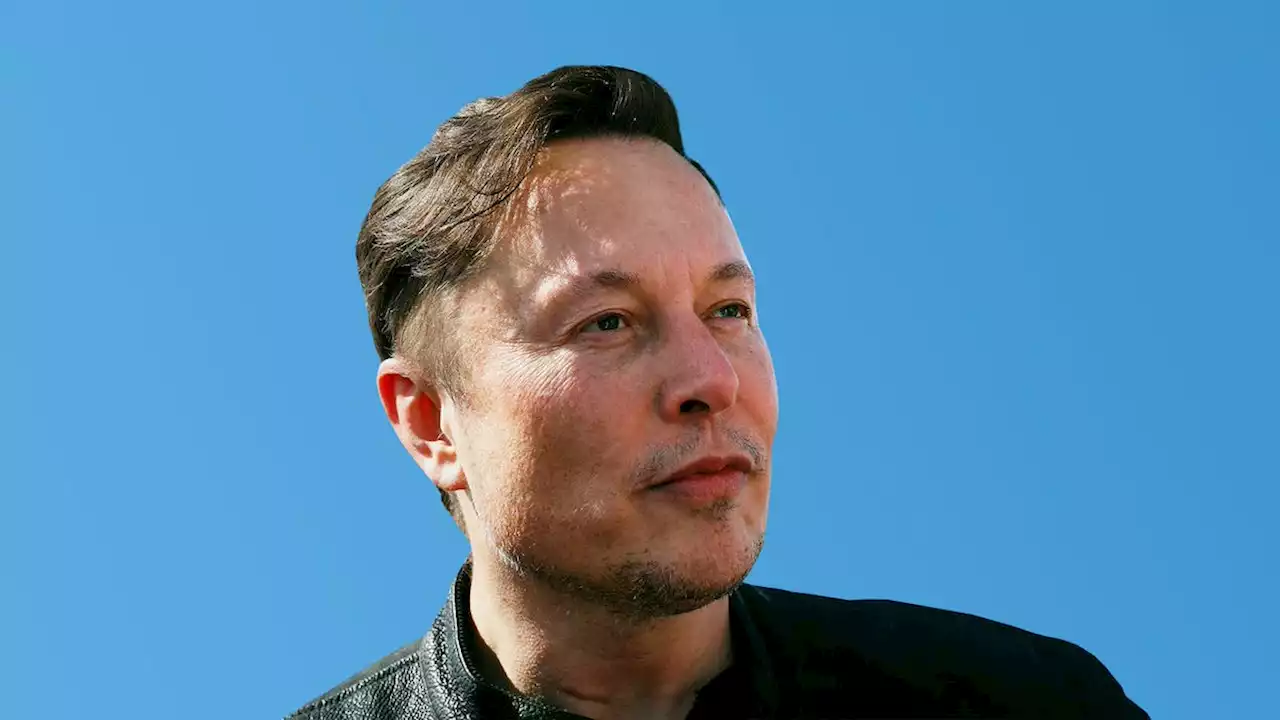 Musk vil livestreame MMA-kamp mod rivalen Zuckerberg