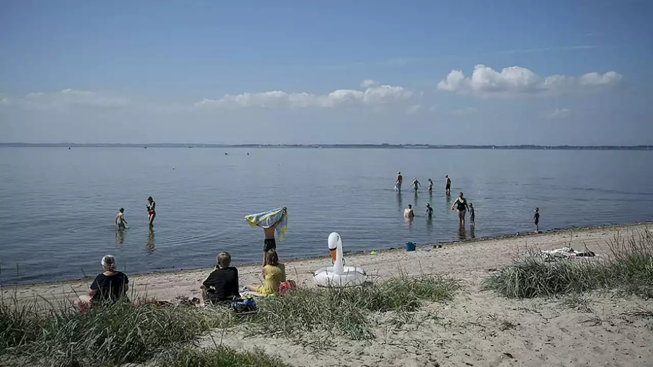 Udenlandsk avis hylder dansk 'paradis' – langt væk fra 'kvælende' hede i Sydeuropa