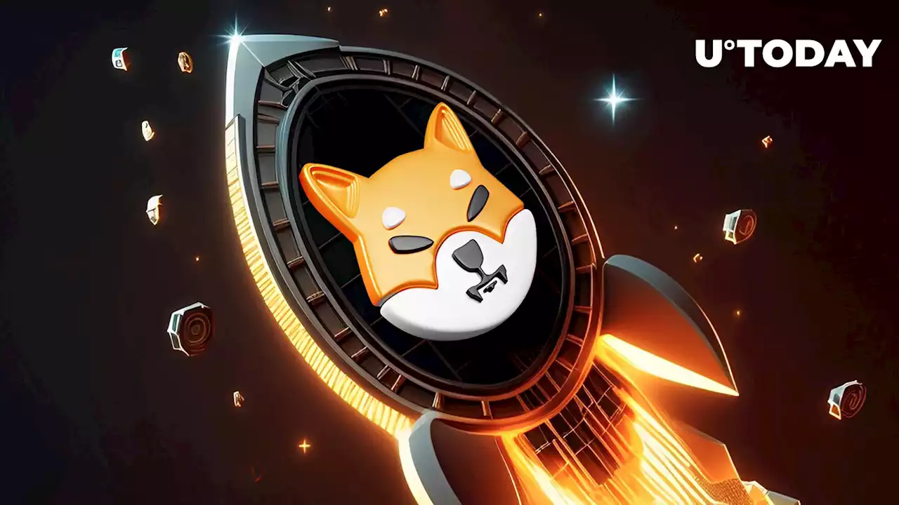 3 Reasons Why Shiba Inu (SHIB) Saw Massive 20% Breakthrough