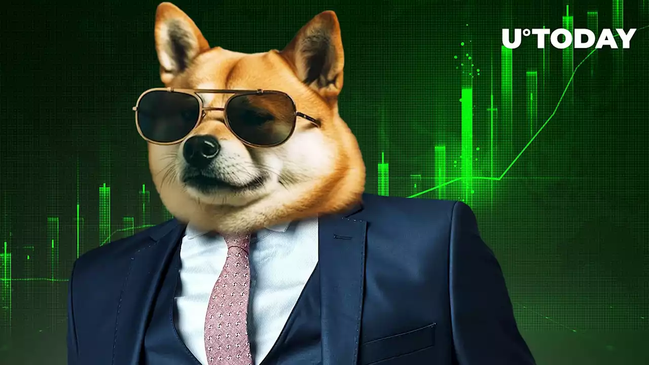 Large Shiba Inu (SHIB) Transactions Witness Jaw-Dropping 600% Surge Overnight