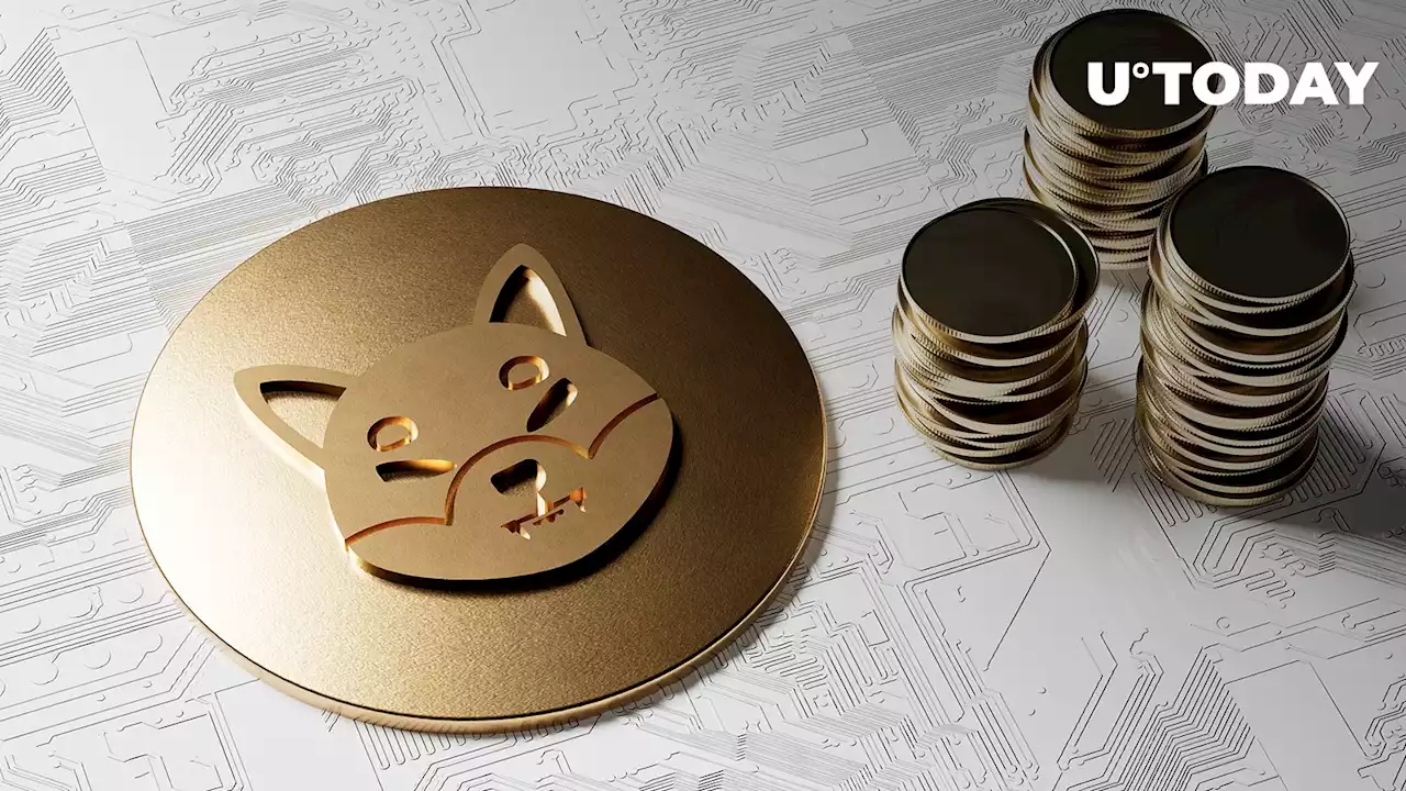 Shiba Inu (SHIB) Beats 4,480 Coins as Price Booms, Here's Why