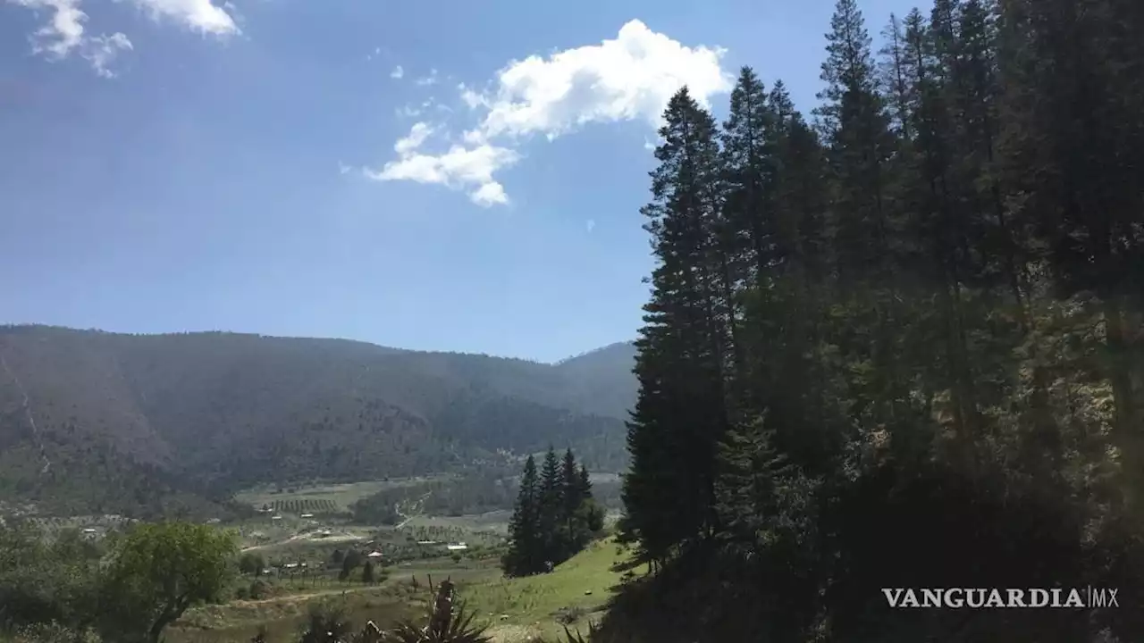 Descarta Arteaga otorgar agua a fraccionamientos campestres