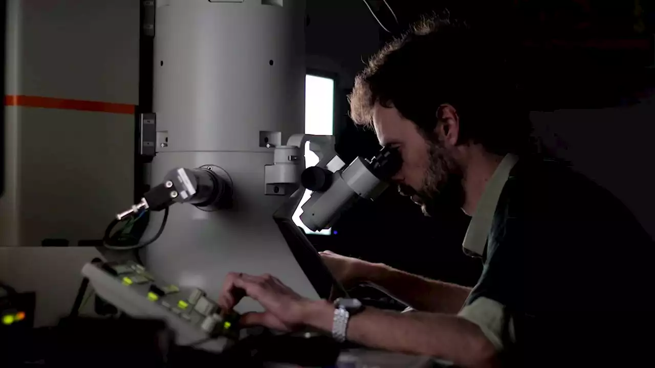 Giant Viruses Found In Massachusetts Forest - Videos from The Weather Channel