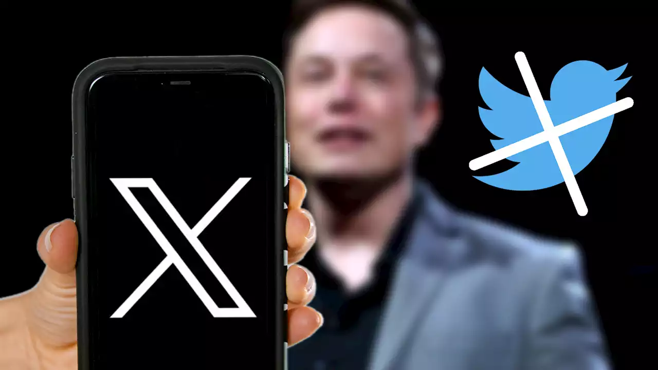 Musk kündigt an: Kampf mit Zuckerberg wird live auf X gestreamt