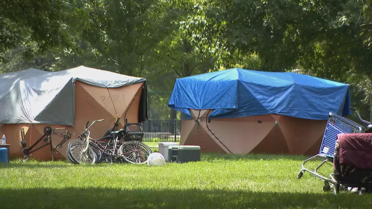 Local Officials, Organizers Working to Address Humboldt Park’s Growing Homeless Encampment